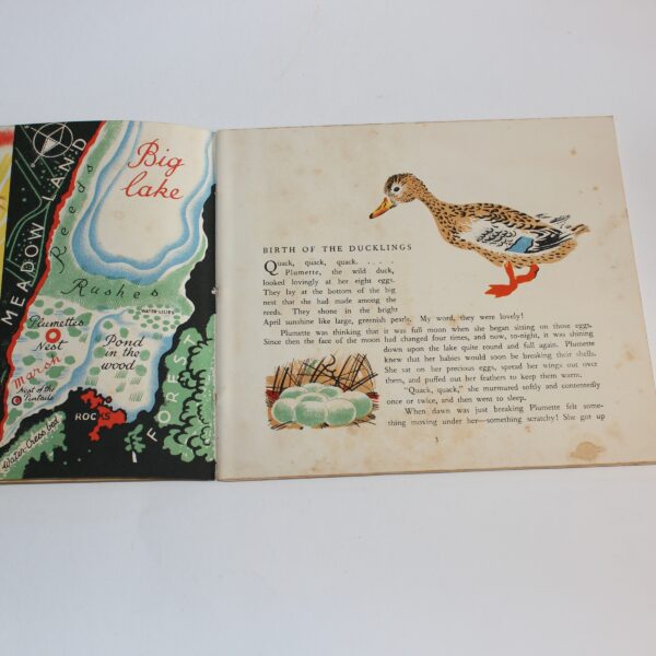 Pere Castors Wild Animals Books #3 Ploof the Wild Duck Fyleman Rojan